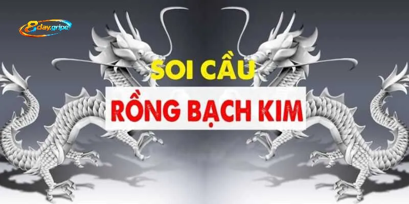 Đôi nét về rồng bạch kim 8day