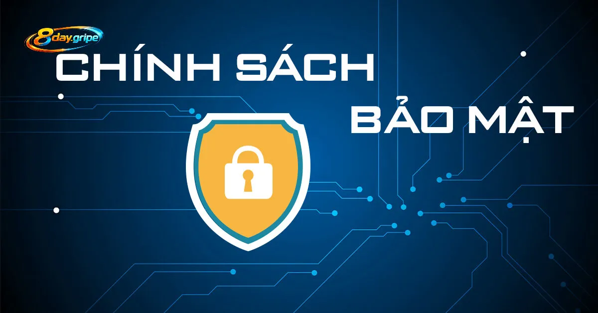 Đôi nét về chính sách bảo mật 8day