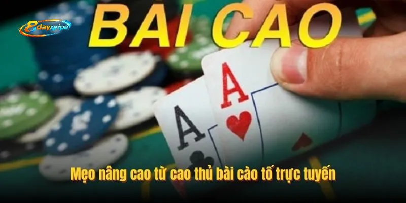 Kinh nghiệm khi chơi từ cao thủ